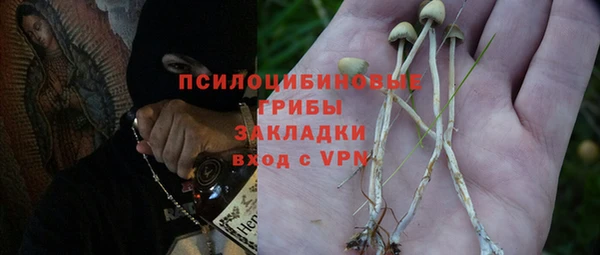 первитин Медвежьегорск