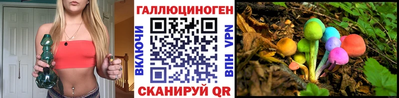 где купить наркотик  Суздаль  МЕГА tor  Псилоцибиновые грибы GOLDEN TEACHER 