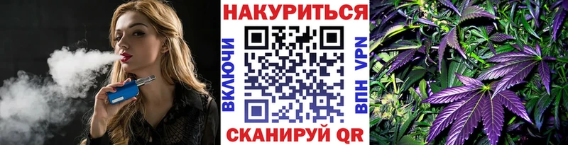 Каннабис ГИДРОПОН  Суздаль 